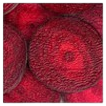 Beetroot